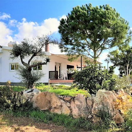Villa Gavriel - Peyia Villa With Breathtaking Sea View, Peyia Villa With Private Pool, Secluded, Huge Outdoor Space, Mountain Views Exteriér fotografie